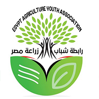 رابطة