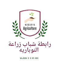 رابطة شباب النوباريه